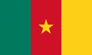 WIza do Kamerunu