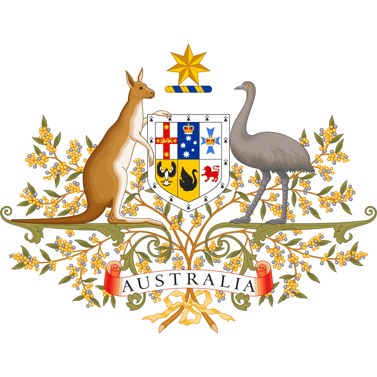 Ambasada Australii, wiza do Australii