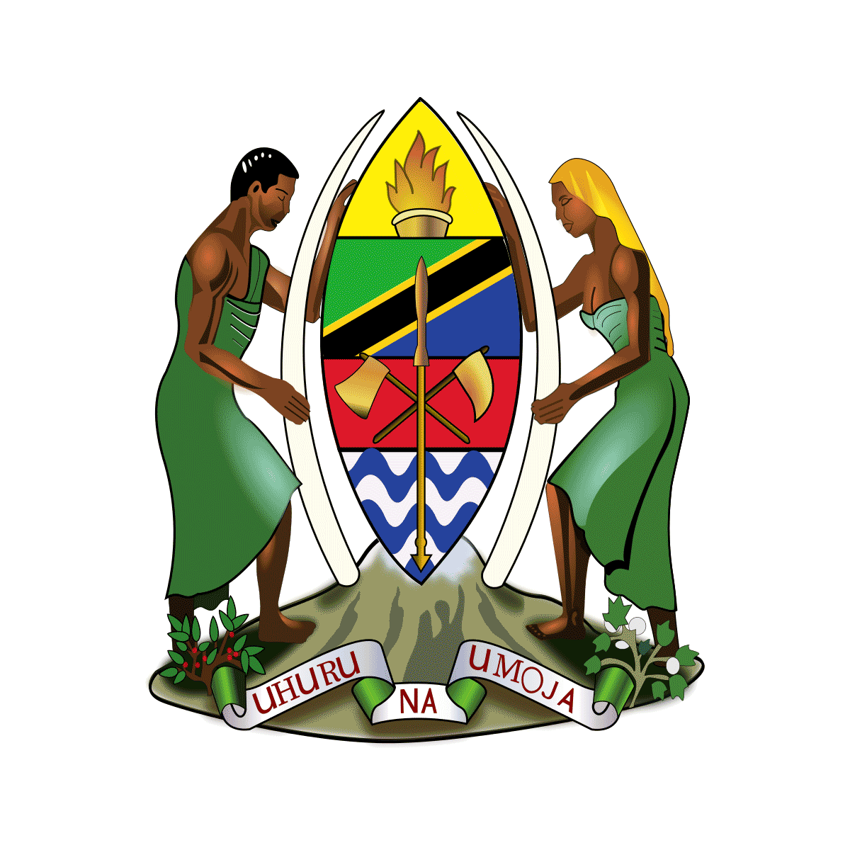 Ambasada Tanzanii. Wiza do Tanzanii.