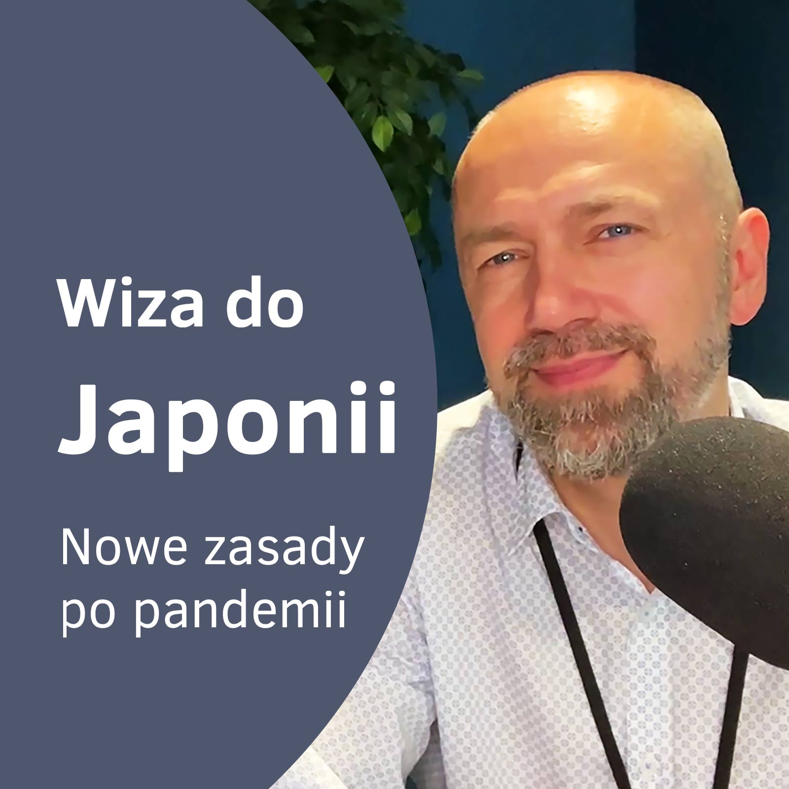 Wizy do Japonii